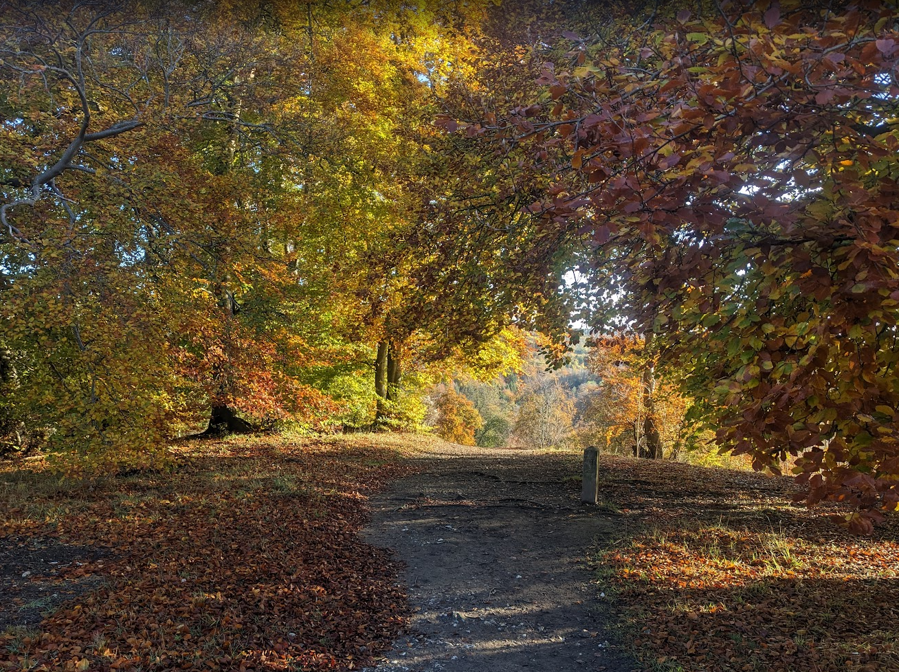 Autumn colours on the recce 2 weeks earlier